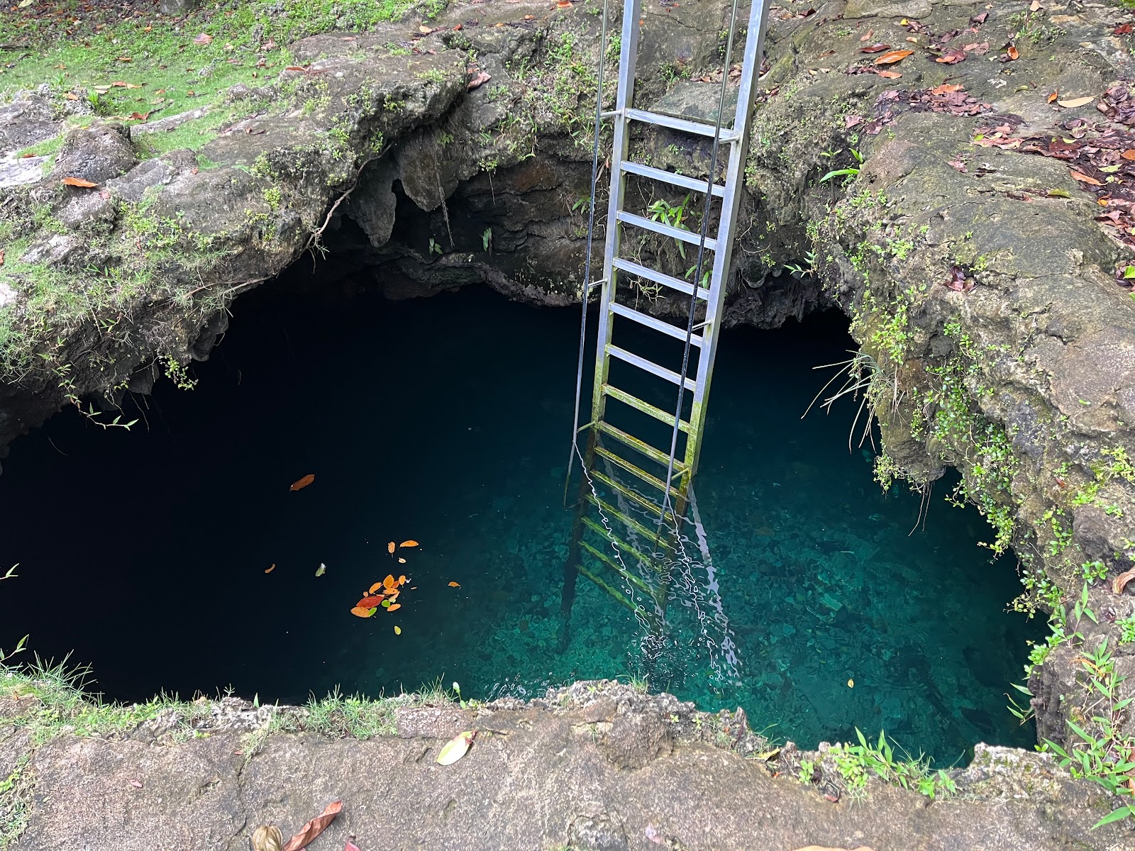 Foto de Ngermelt Swimming Hole con hormigón superficie