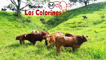 Rancho Ganadero Los Colorines
