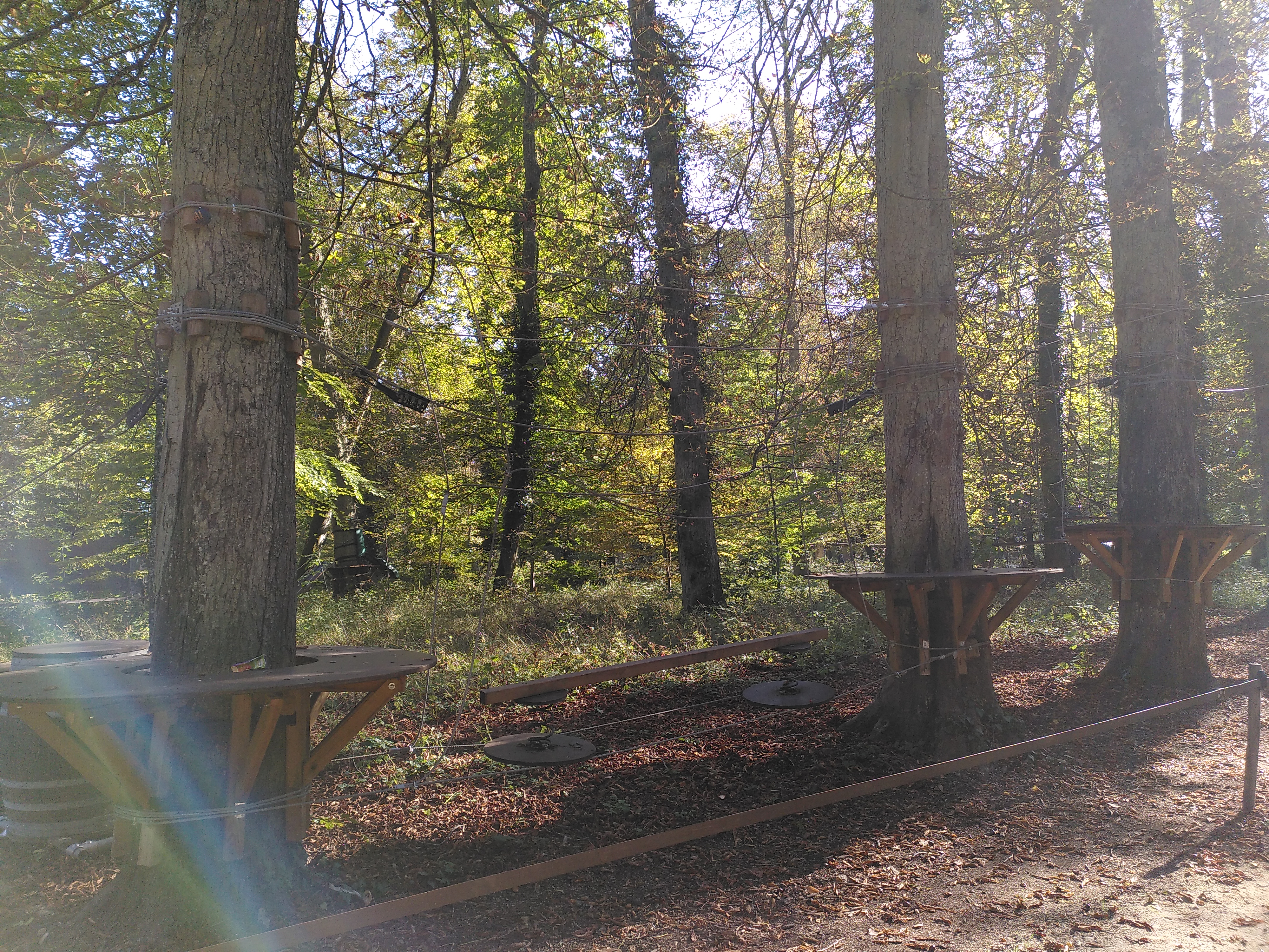 Photo n° 1 de l'avis de Elise.E fait le 17/10/2021 à 14:28