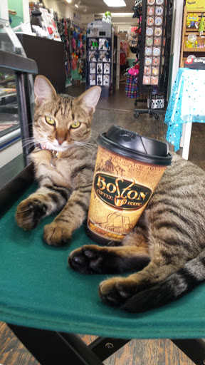 Pet Supply Store «Grrs & Purrs», reviews and photos, 116 N Woodland Blvd, DeLand, FL 32720, USA