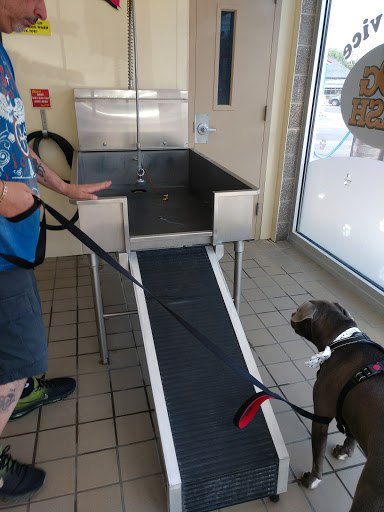 Car Wash «Foam & Wash Car Wash, Dog Wash & Laundromat», reviews and photos, 1520 U.S. 9, Wappingers Falls, NY 12590, USA