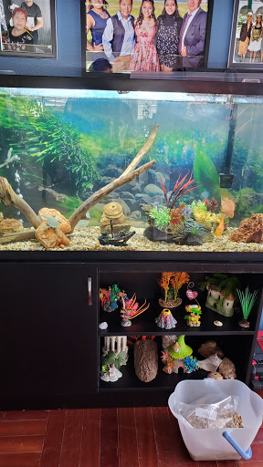 Pet Supply Store «PetSmart», reviews and photos, 4601 Outer Loop, Louisville, KY 40219, USA