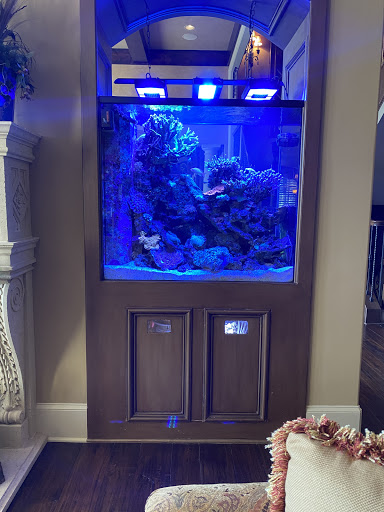 Tropical Fish Store «Picasso Exotic Aquatics», reviews and photos, 11560 Ash St, Leawood, KS 66211, USA