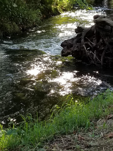 Park «Lynden City Park», reviews and photos