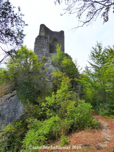 Rezensionen über Château de Telsberg in Delsberg - Museum