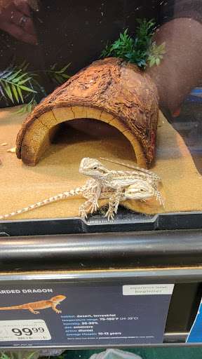 Pet Supply Store «PetSmart», reviews and photos, 482 Stillwater Ave Ste 2A, Bangor, ME 04401, USA