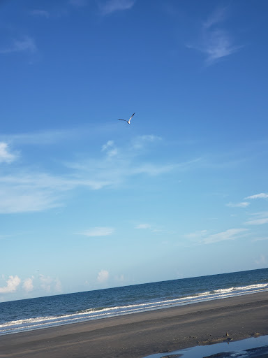 Tourist Attraction «Beach Access», reviews and photos, Alantic Ave, Pawleys Island, SC 29585, USA