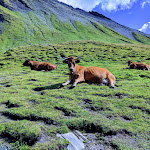 Photo n° 14 de l'avis de Sébastien.i fait le 04/09/2018 à 04:57 pour Parc national de la Vanoise à Vanoise