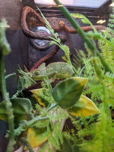 Pet Supply Store «PetSmart», reviews and photos, 1621 E Monte Vista Ave b, Vacaville, CA 95688, USA