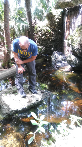 Park «A.D. (Doug) Barnes Park», reviews and photos, 3401 SW 72nd Ave, Miami, FL 33155, USA