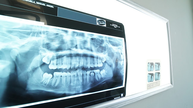 Opiniones de Clinica dental Andes ciudad Satelite en Maipú - Dentista