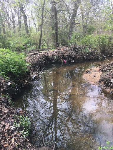 Nature Preserve «Brookside Preserve», reviews and photos, N Brookside Ave, Roosevelt, NY 11575, USA