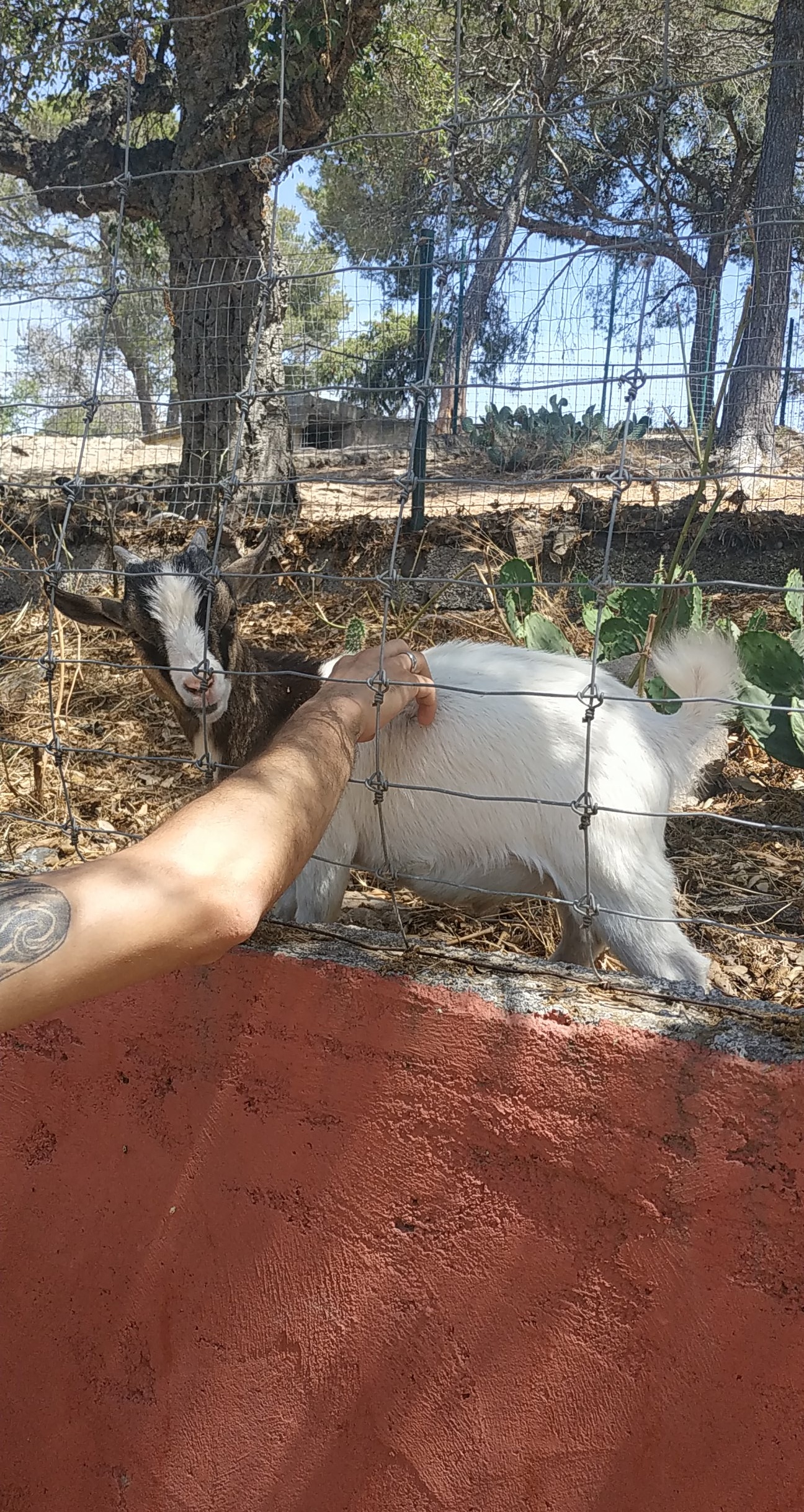 Photo n° 4 de l'avis de Aurélie.s fait le 28/09/2018 à 14:25
