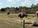 Parc Animalier d'Écouves Le Bouillon