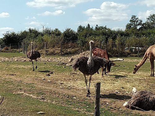 Parc Animalier d'Écouves à Le Bouillon