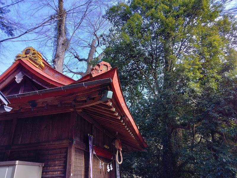 沢井の諏訪神社のエゾエノキ
