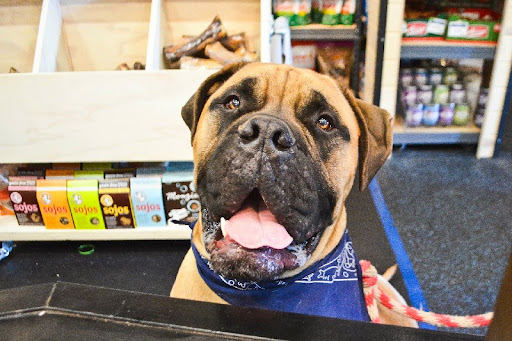 Pet Supply Store «The Whole Dog Market», reviews and photos, 3300 Cobb Pkwy #108, Atlanta, GA 30339, USA