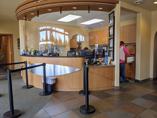 Car Repair and Maintenance «Lacey Collision Center», reviews and photos, 1215 Carpenter Rd SE, Lacey, WA 98503, USA