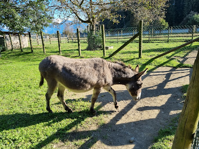 Tierpark Rosegg