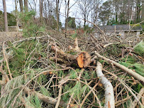 Limb-IT-Less Tree Service & Landscaping LLC - Photo 5 - Car repair in , Burlington