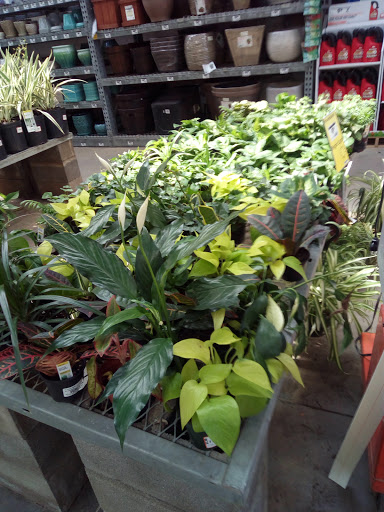 Home Improvement Store «The Home Depot», reviews and photos, 251 S Industrial Blvd, Euless, TX 76040, USA