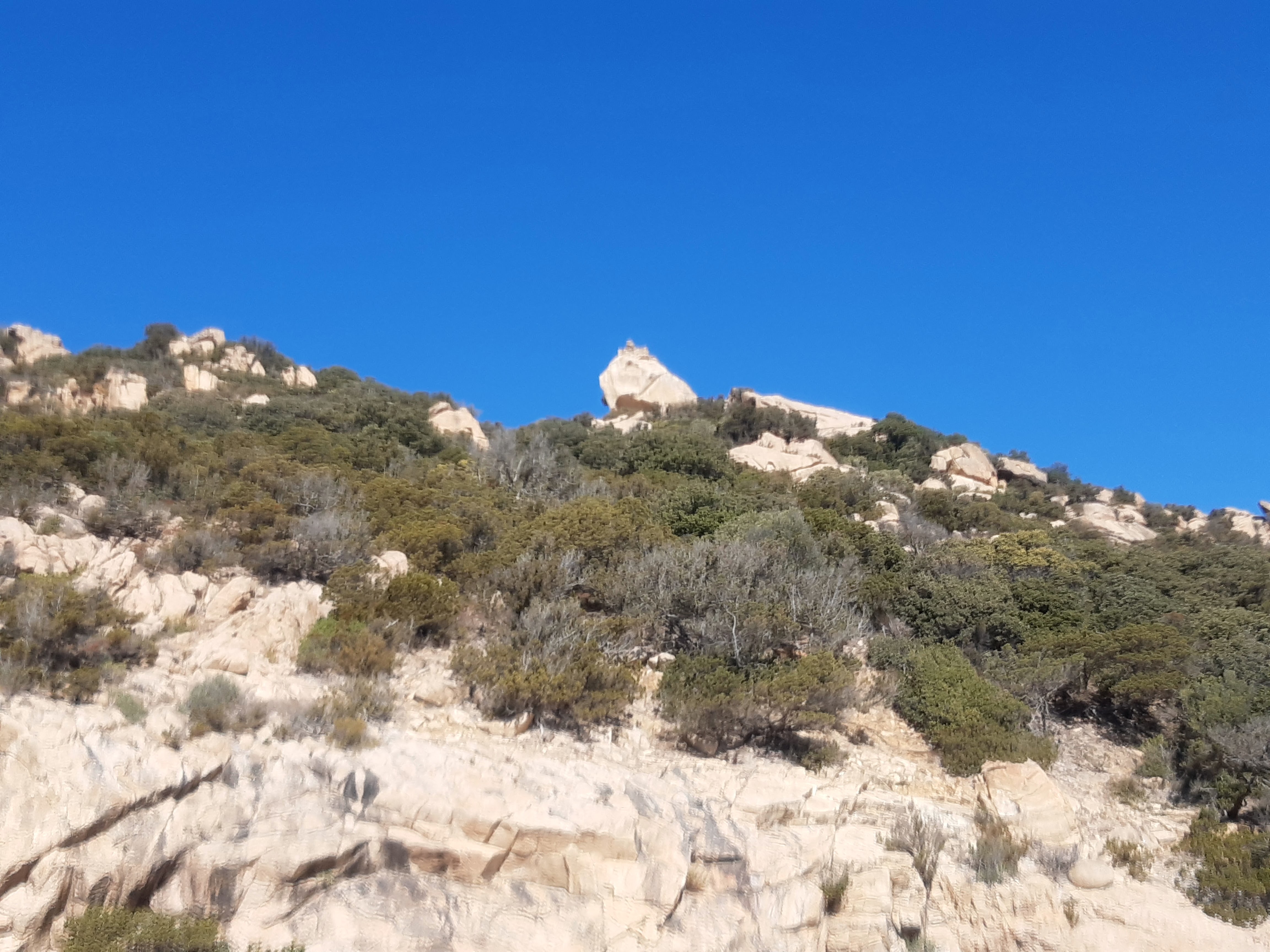 Photo n° 18 de l'avis de Nounou.r fait le 28/01/2022 à 12:39
