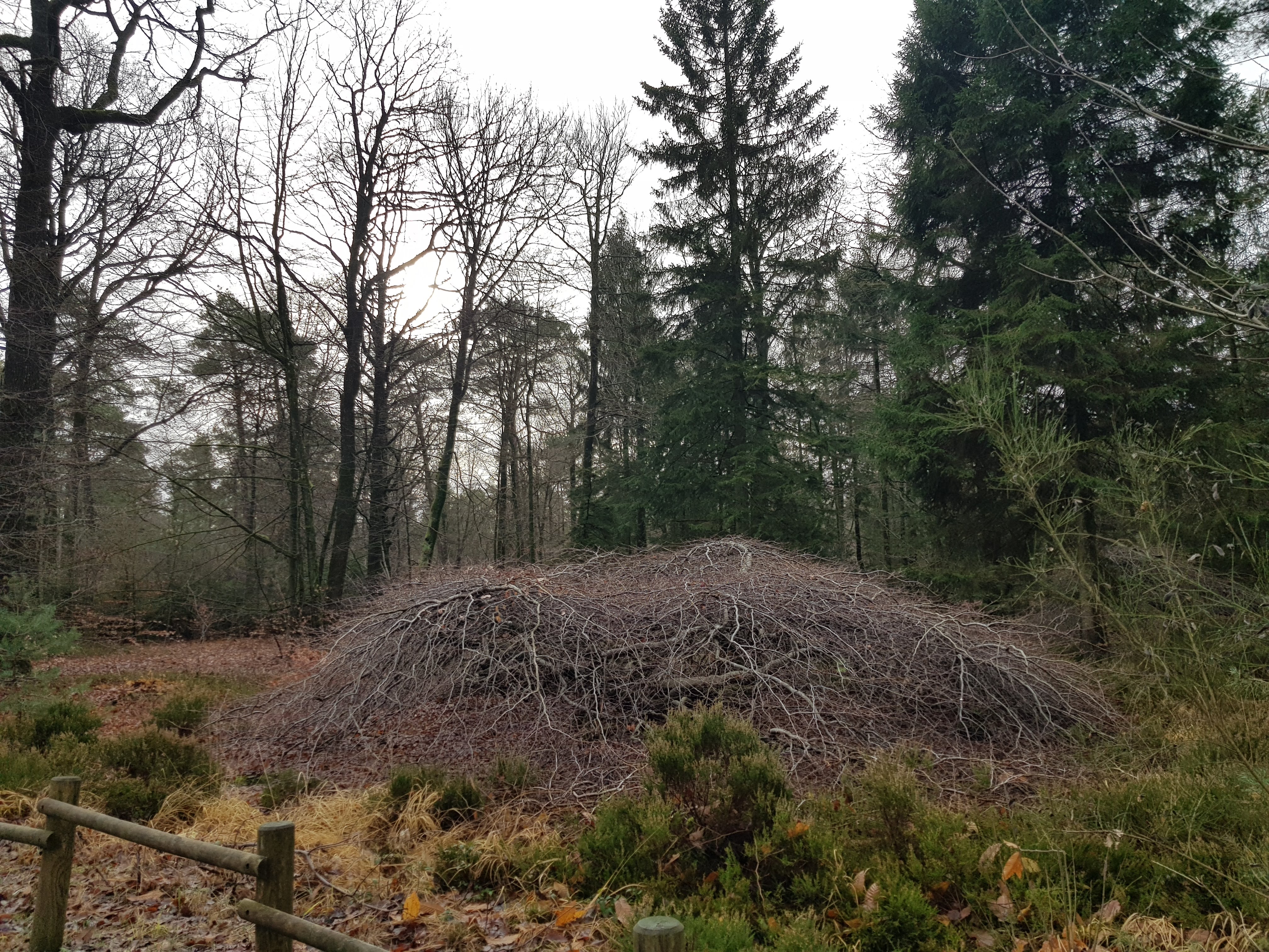 Photo n° 1 de l'avis de Max.o fait le 30/12/2019 à 07:02