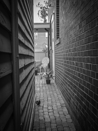 Art Museum «Whistler House Museum Of Art», reviews and photos, 243 Worthen St, Lowell, MA 01852, USA