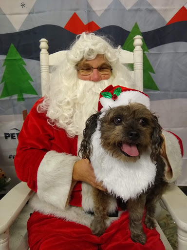 Pet Supply Store «PetSmart», reviews and photos, 6019 Wade Hampton Blvd, Taylors, SC 29687, USA