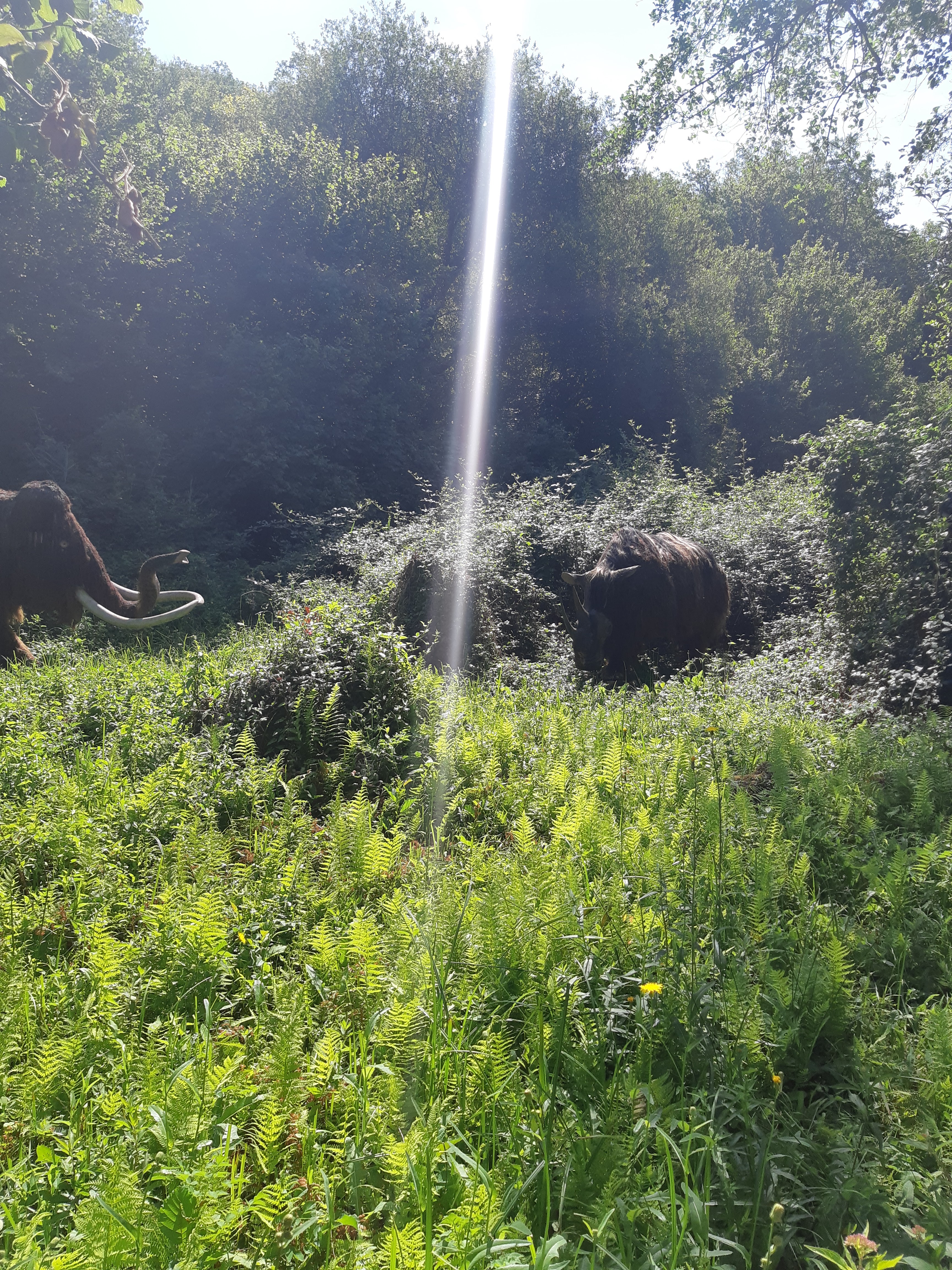 Photo n° 25 de l'avis de Pamela.e fait le 26/07/2018 à 11:23