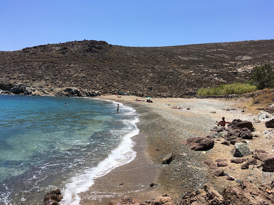 Lia Beach