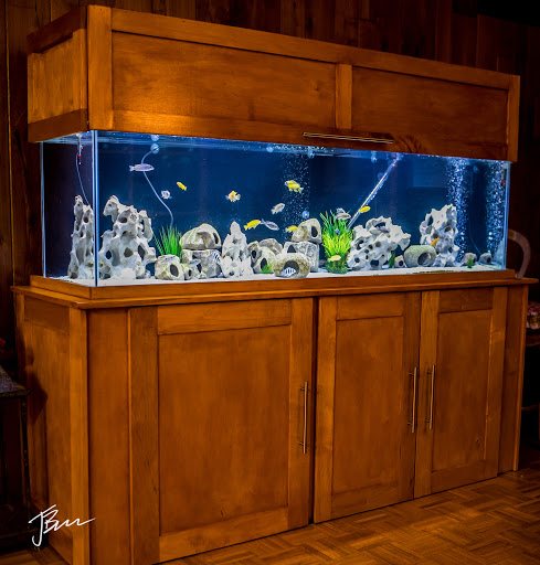Aquarium Shop «Artistic Aquatics», reviews and photos, 1035 Forest View Dr N, Ellettsville, IN 47429, USA