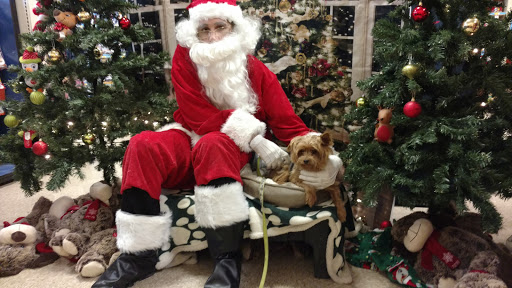 Pet Supply Store «PetSmart», reviews and photos, 1386 Atwood Ave, Johnston, RI 02919, USA