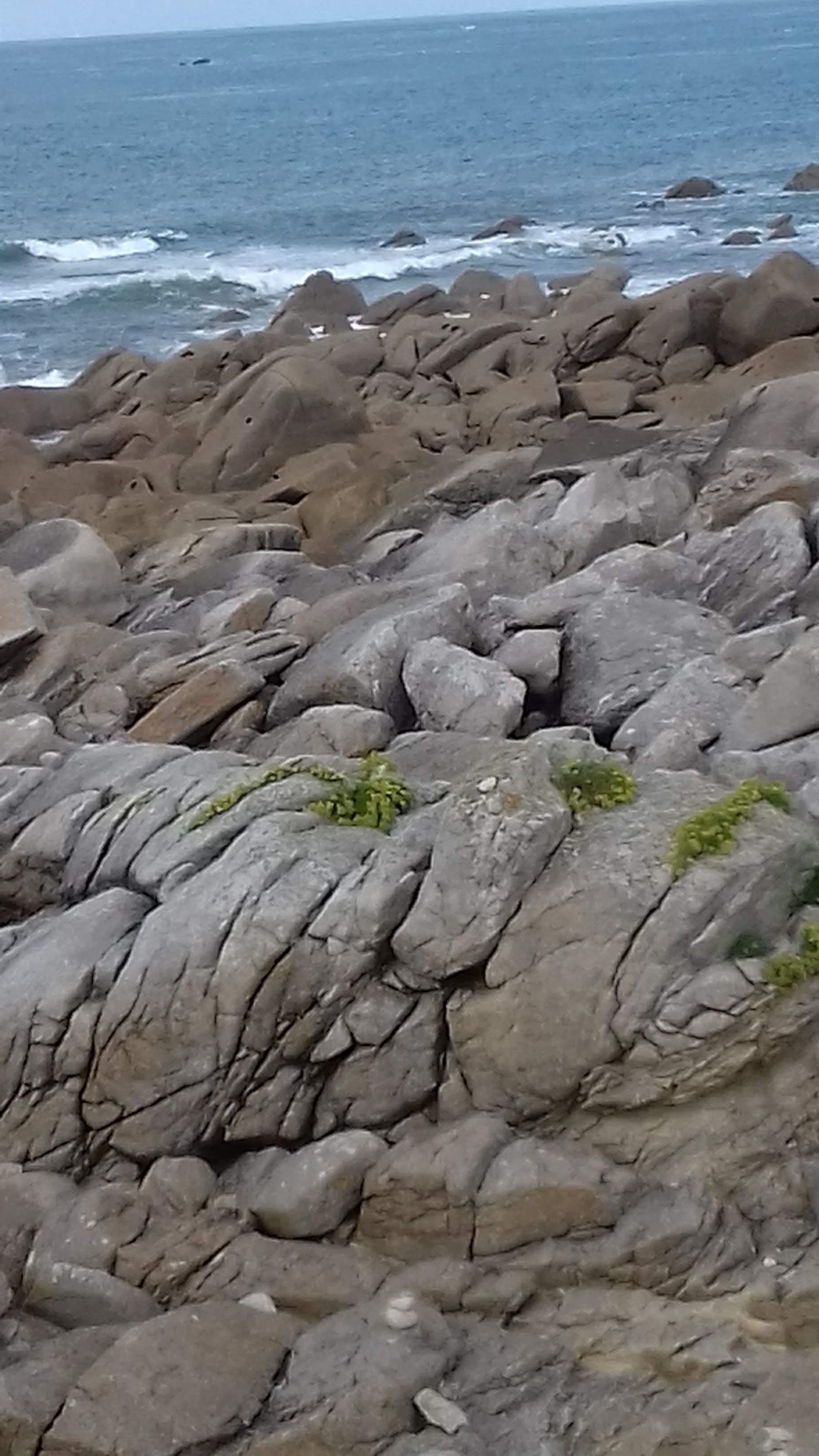 Photo n° 4 de l'avis de Rick.l fait le 03/09/2018 à 10:32