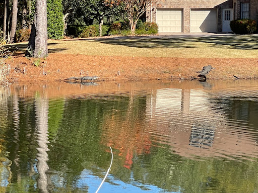 Golf Club «True Blue Golf Plantation», reviews and photos, 900 Blue Stem Dr, Pawleys Island, SC 29585, USA