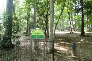 Sakaiyamano Ryokuchi Park image