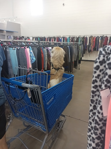 Thrift Store «Goodwill Ocala Superstore Adjacent to Paddock Mall», reviews and photos, 2830 SW 27th Ave, Ocala, FL 34471, USA