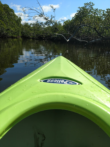 Nature Preserve «Emerson Point Preserve», reviews and photos, 5801 17th St W, Palmetto, FL 34221, USA