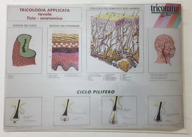 Istituto Bio Tricologico - Locarno