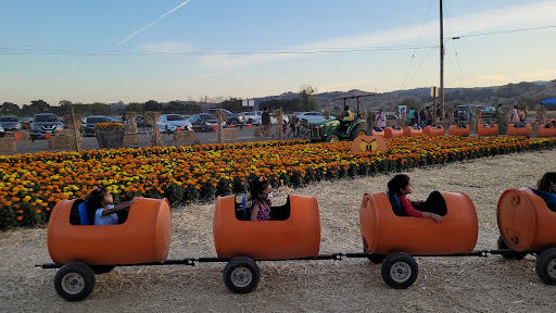 Pumpkin Patch «Spina Farms», reviews and photos, Santa Teresa Blvd, Morgan Hill, CA 95037, USA