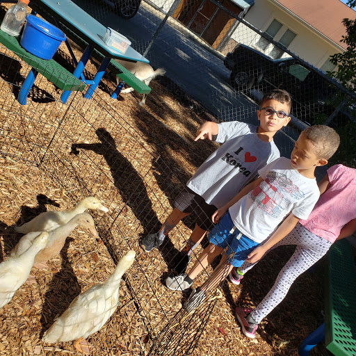 Pony Ride Service «Animals Unlimited LLC est 1996 travelling petting zoo/pony rides/travelling exotic animal programs .», reviews and photos, 16805 Mountain Rd, Montpelier, VA 23192, USA