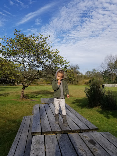 Gourmet Grocery Store «Max Hansen Carversville Grocery», reviews and photos, 6208 Fleecy Dale Rd, Carversville, PA 18913, USA