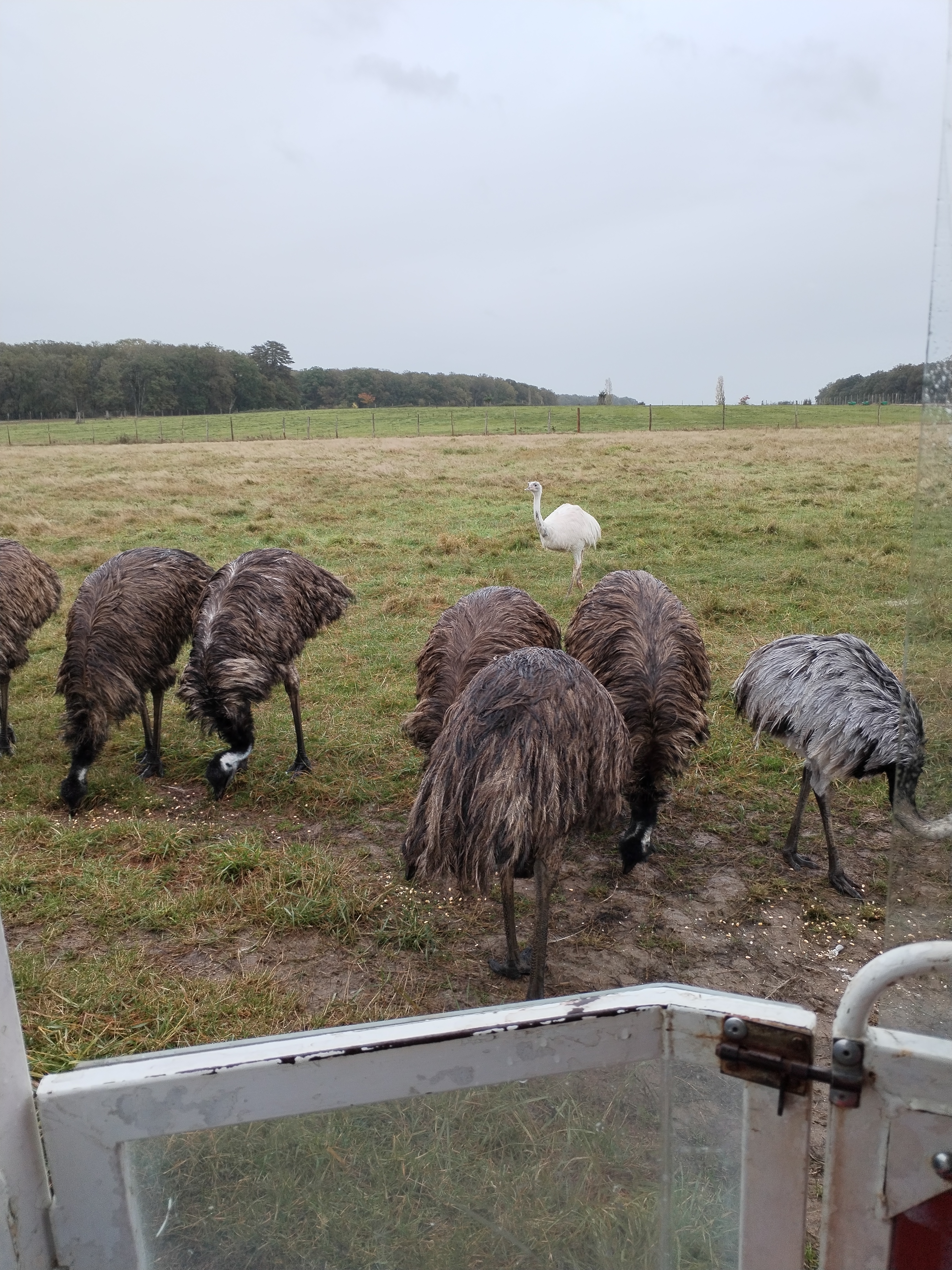 Photo n° 1 de l'avis de Xyvi. fait le 28/10/2023 à 16:10