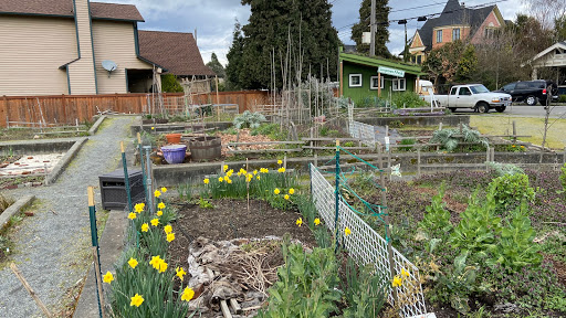 Park «Oxbow Park», reviews and photos, 6430 Corson Ave S, Seattle, WA 98134, USA