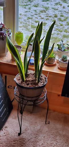 Home Improvement Store «The Home Depot», reviews and photos, 4250 N Newton St, Jasper, IN 47546, USA