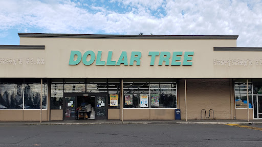 Dollar Store «Dollar Tree», reviews and photos, 8111 Steilacoom Blvd SW, Lakewood, WA 98498, USA