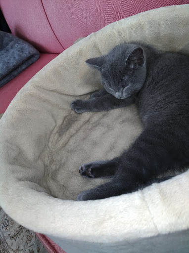 Sporting Goods Store «Tri Sport Junction», reviews and photos, 7568 Main St b, Sykesville, MD 21784, USA