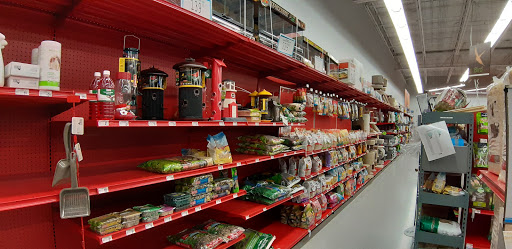 Pet Supply Store «Petco Animal Supplies», reviews and photos, 4401 Transit Rd #600, Williamsville, NY 14221, USA