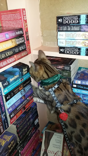 Used Book Store «Book Rack», reviews and photos, 908 Pat Booker Rd, Universal City, TX 78148, USA