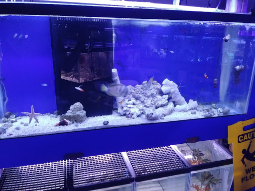 Pet Store «Aquarium & Reef Center», reviews and photos, 231 Del Prado Blvd, Cape Coral, FL 33990, USA